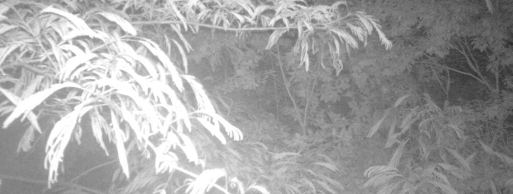 Jun 26 2025  3:00:31, #01