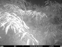 Jun 26 2025  3:00:31, #01