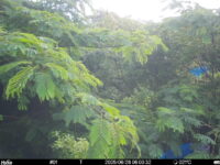 Jun 26 2025  6:00:32, #01