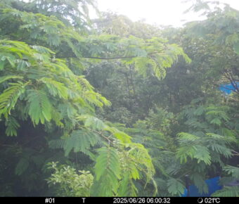 Jun 26 2025  6:00:32, #01