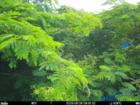 Jun 26 2025  9:00:32, #01