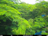 Jun 26 2025 12:00:31, #01