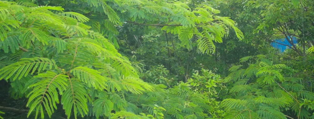 Jun 26 2025 15:00:31, #01