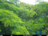 Jun 26 2025 15:00:31, #01