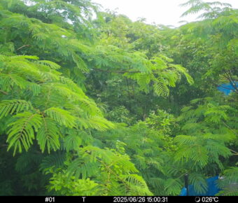 Jun 26 2025 15:00:31, #01