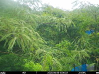 Jun 26 2025 18:00:32, #01