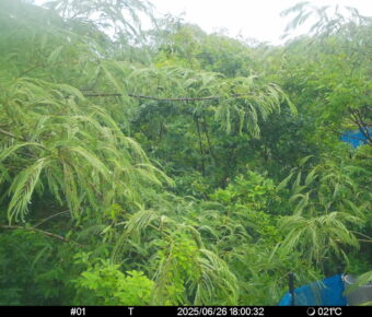 Jun 26 2025 18:00:32, #01