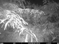 Jun 26 2025 21:00:32, #01