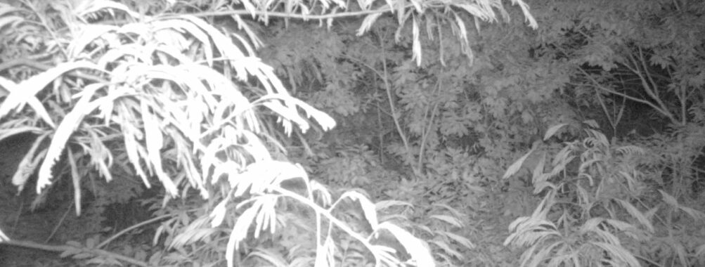 Jun 27 2025  0:00:30, #01