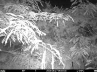 Jun 27 2025  0:00:30, #01