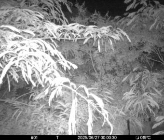 Jun 27 2025  0:00:30, #01
