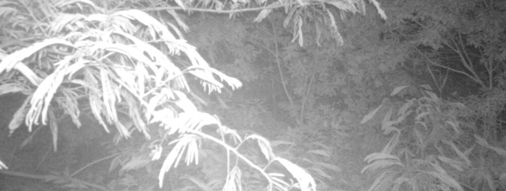 Jun 27 2025  3:00:31, #01