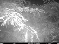 Jun 27 2025  3:00:31, #01