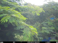 Jun 27 2025  6:00:32, #01