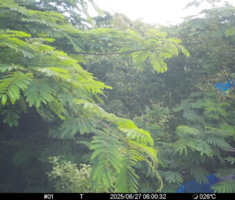 Jun 27 2025  6:00:32, #01