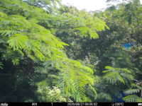 Jun 27 2025  9:00:31, #01