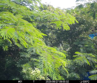Jun 27 2025  9:00:31, #01