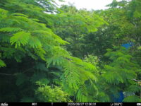 Jun 27 2025 12:00:31, #01