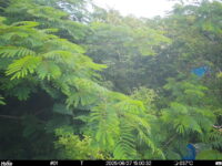 Jun 27 2025 15:00:31, #01