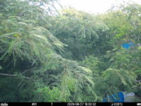 Jun 27 2025 18:00:32, #01