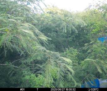 Jun 27 2025 18:00:32, #01