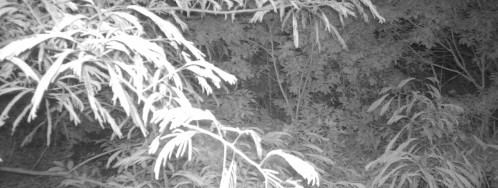 Jun 27 2025 21:00:32, #01