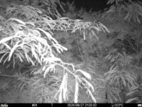 Jun 27 2025 21:00:32, #01