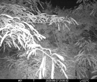 Jun 27 2025 21:00:32, #01