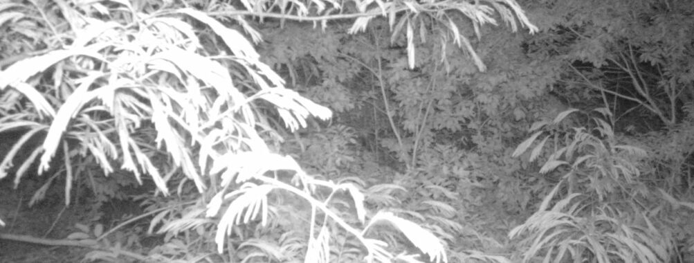 Jun 28 2025  0:00:30, #01