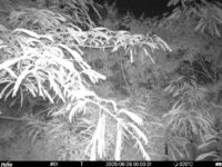 Jun 28 2025  0:00:30, #01