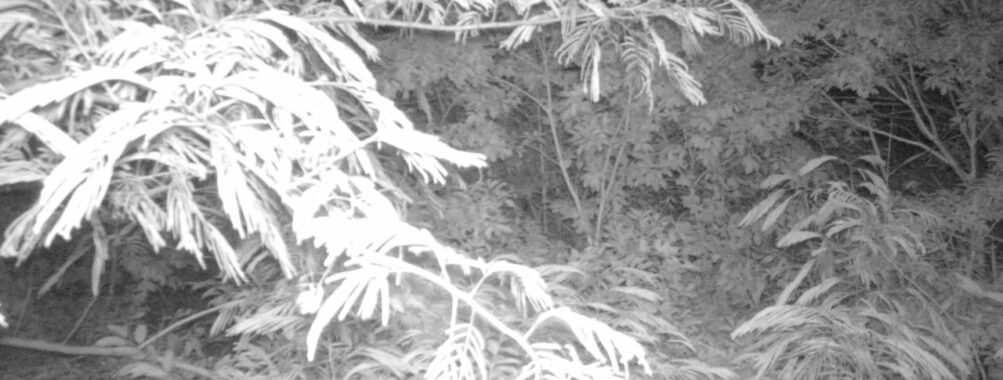 Jun 28 2025  3:00:31, #01