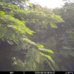 Jun 28 2025  6:00:31, #01