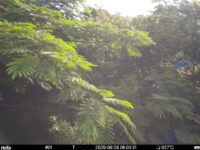Jun 28 2025  6:00:31, #01