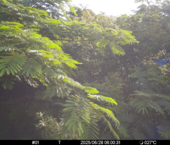 Jun 28 2025  6:00:31, #01