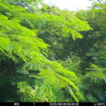 Jun 28 2025  9:00:32, #01