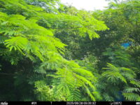 Jun 28 2025  9:00:32, #01