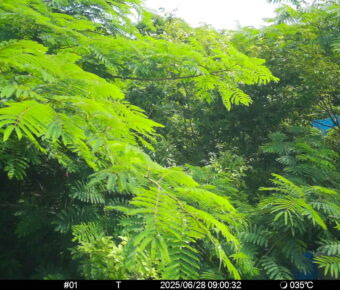 Jun 28 2025  9:00:32, #01