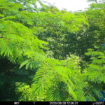 Jun 28 2025 12:00:31, #01