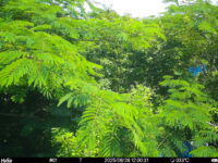 Jun 28 2025 12:00:31, #01