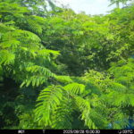 Jun 28 2025 15:00:30, #01
