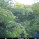 Jun 28 2025 18:00:32, #01