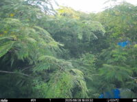Jun 28 2025 18:00:32, #01