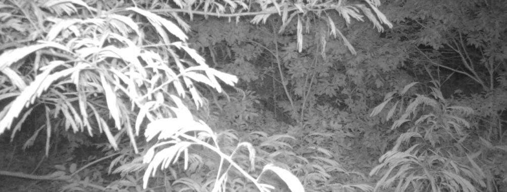 Jun 28 2025 21:00:32, #01