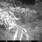 Jun 28 2025 21:00:32, #01