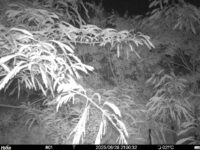 Jun 28 2025 21:00:32, #01