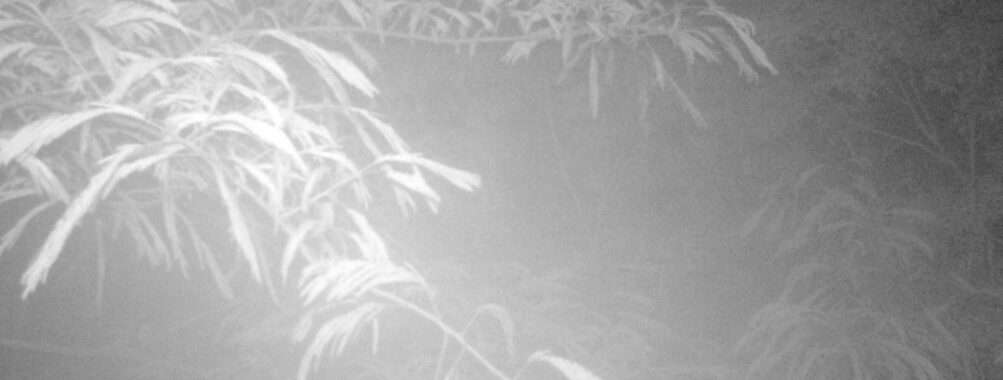 Jun 29 2025  0:00:30, #01