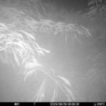 Jun 29 2025  0:00:30, #01