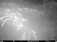Jun 29 2025  0:00:30, #01
