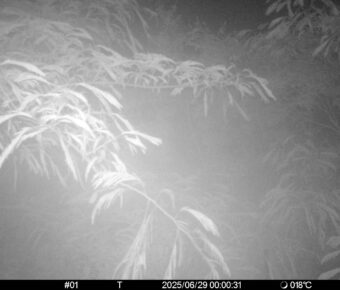 Jun 29 2025  0:00:30, #01