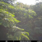 Jun 29 2025  6:00:31, #01